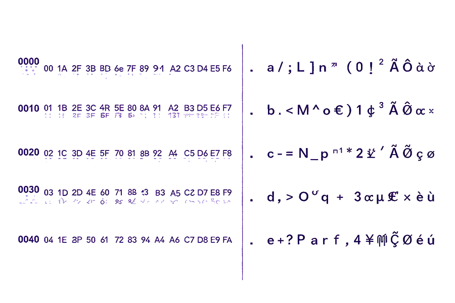 内置十六进制编辑器，逐字节操作